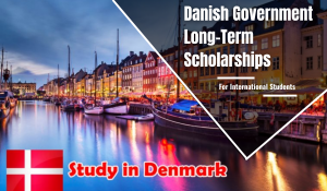 Danish Government Scholarship
