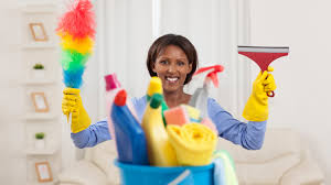 Housekeeper needed in Havenstreet Housekeeper