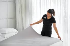 House Cleaner