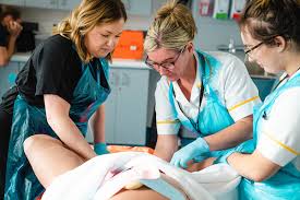 Community Midwife needed at Ynysmaerdy (Visa Sponsorship Available)
